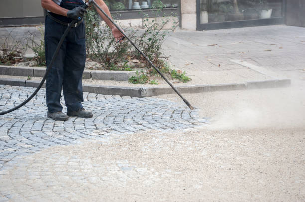 Best Patio and Deck Pressure Washing  in Spring Grove, IL